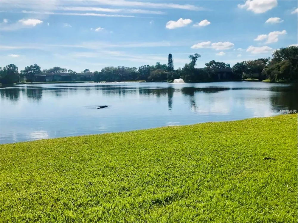 770 VILLAGE LAKE TERRACE #203 St Petersburg, FL 33716