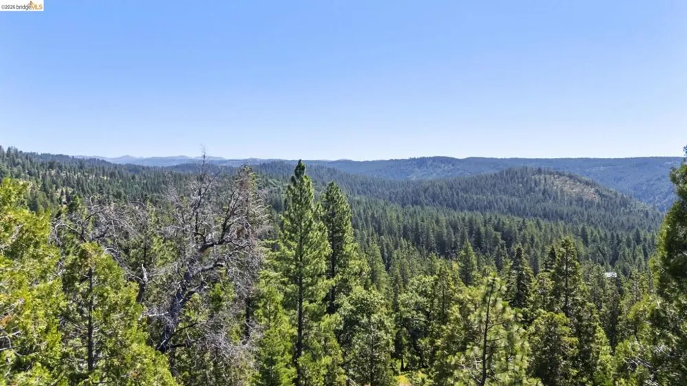 24822 Quartz Ave Mi Wuk Village, CA 95346