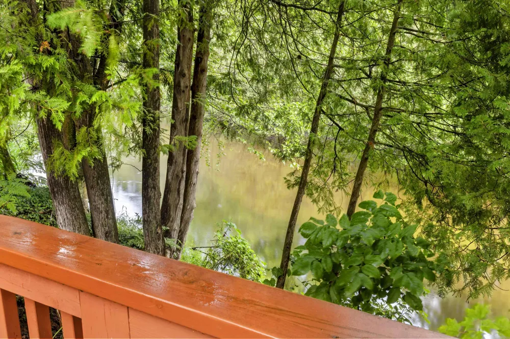 9095 Bear Creek Drive Maple Grove Township, MI 49645