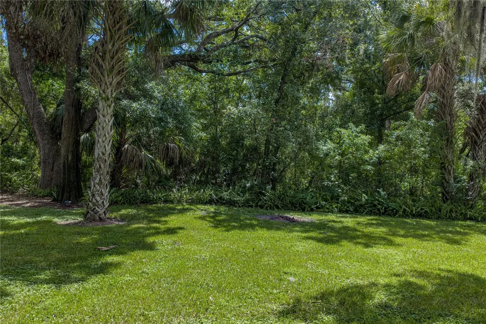 2405 EARLSWOOD COURT Brandon, FL 33510