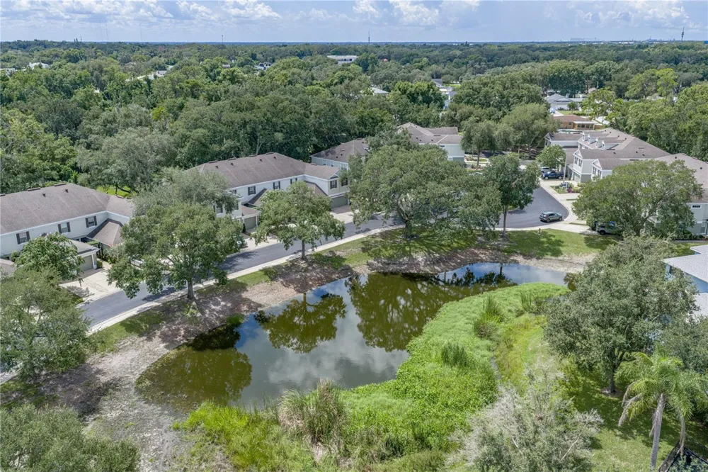 2405 EARLSWOOD COURT Brandon, FL 33510