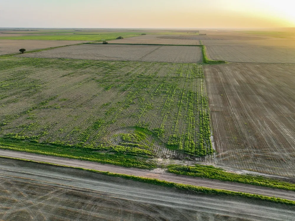 125 County Road 272 Weinert, TX 76388