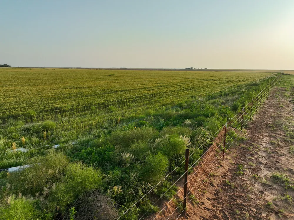 125 County Road 272 Weinert, TX 76388