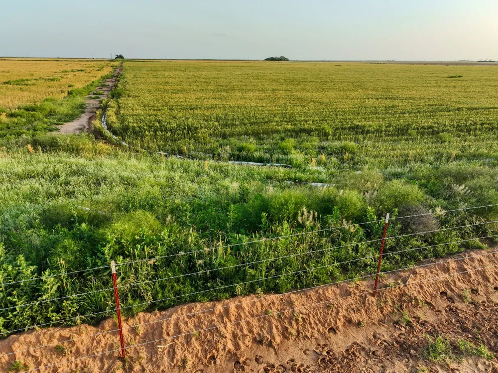 125 County Road 272 Weinert, TX 76388