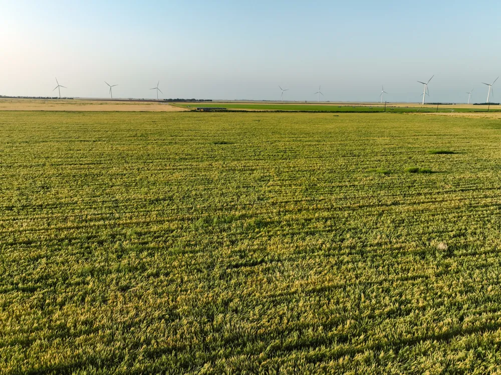 125 County Road 272 Weinert, TX 76388