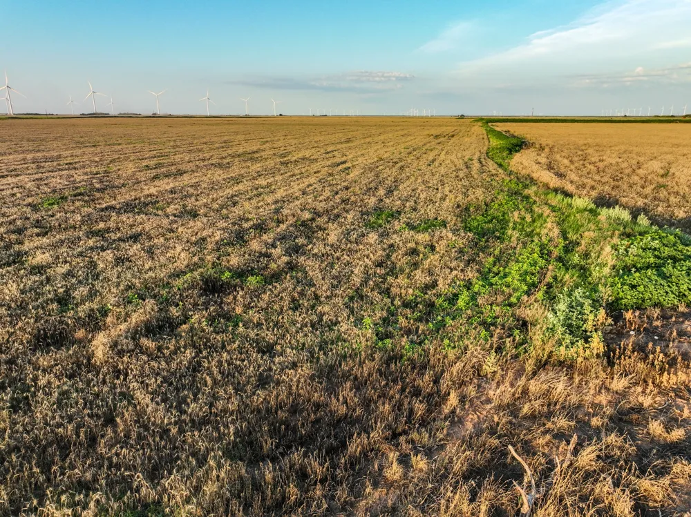 125 County Road 272 Weinert, TX 76388