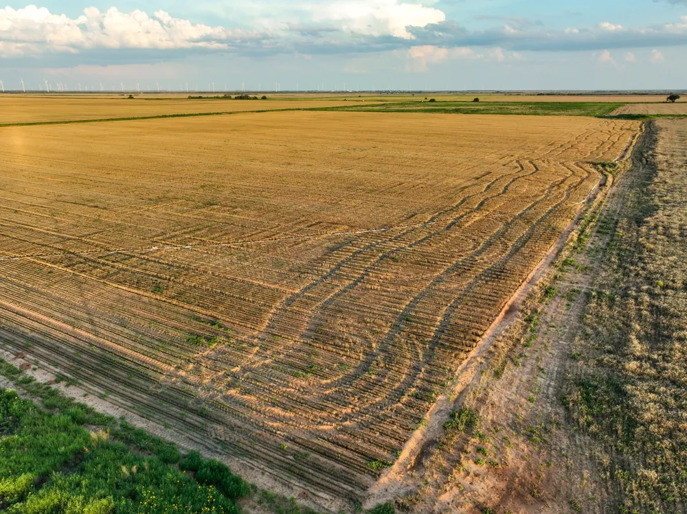 125 County Road 272 Weinert, TX 76388