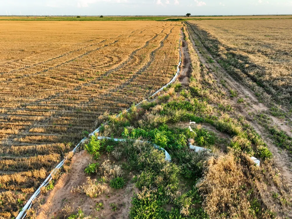 125 County Road 272 Weinert, TX 76388