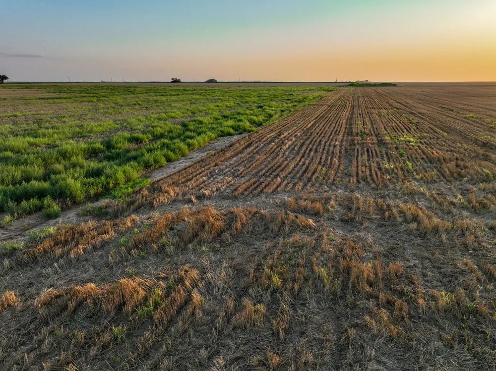 125 County Road 272 Weinert, TX 76388