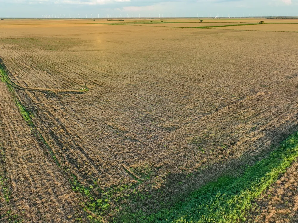 125 County Road 272 Weinert, TX 76388