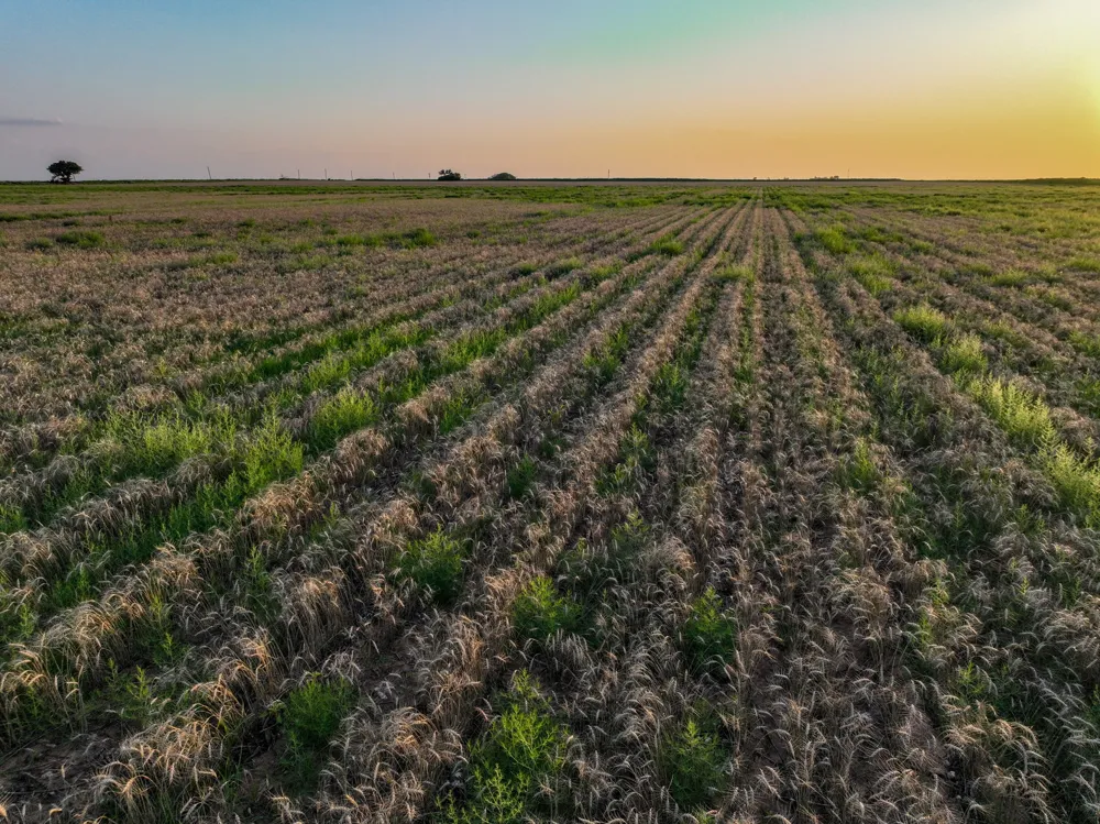 125 County Road 272 Weinert, TX 76388