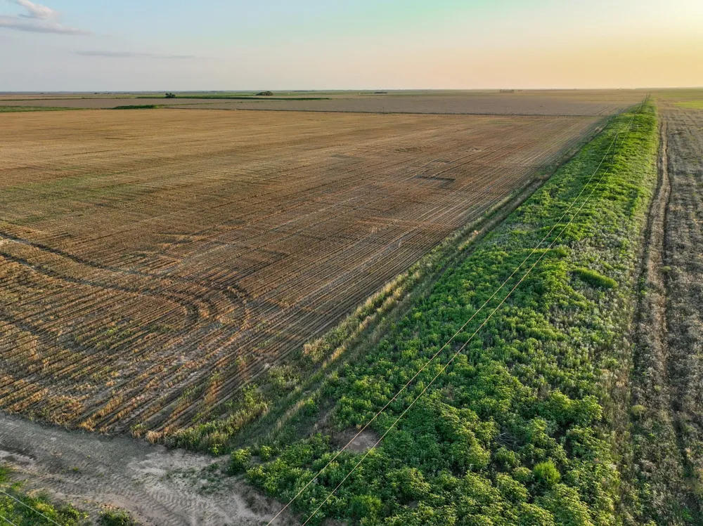 125 County Road 272 Weinert, TX 76388