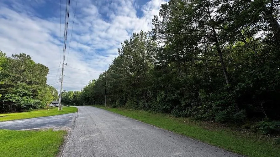 96 Clayton Drive Bremen, GA 30110