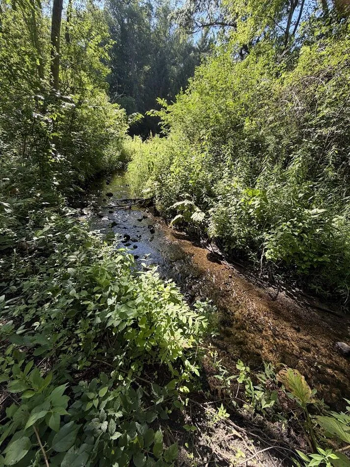 4199 3 Mile Road NE Grand Rapids, MI 49525