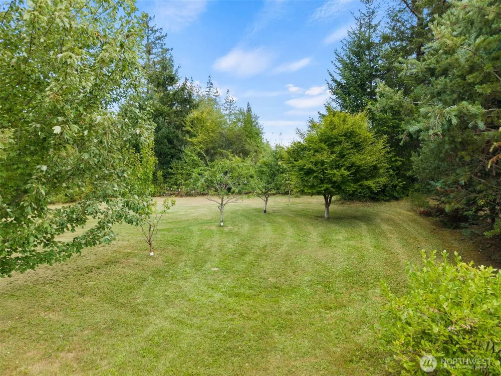1303 E Alta Drive Belfair, WA 98528