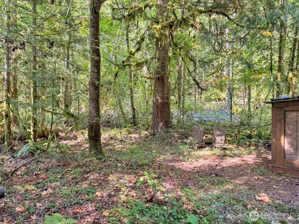 144 5 Big River Boulevard W Deming, WA 98244