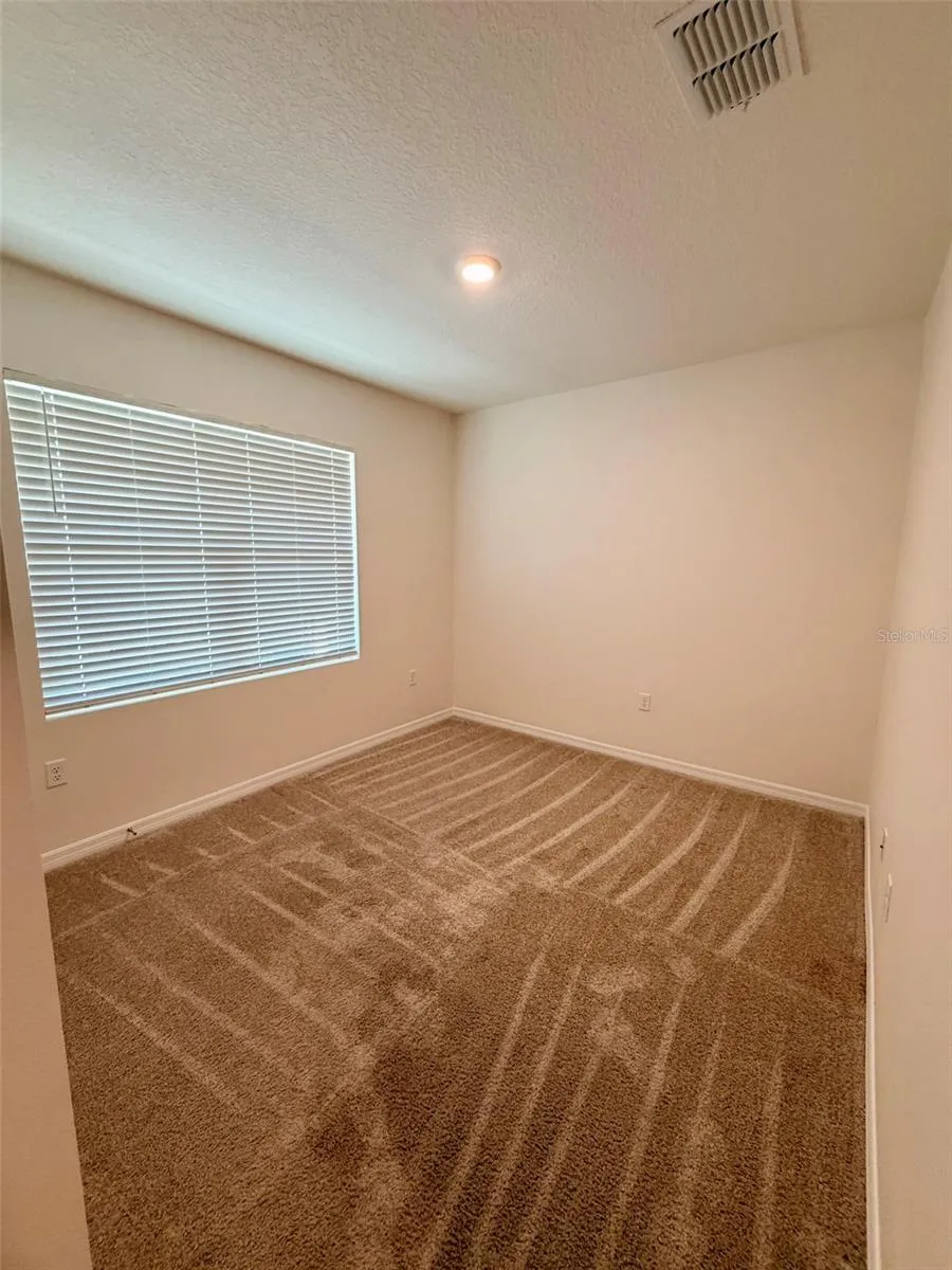 5277 GREENHEART AVENUE Mount Dora, FL 32757