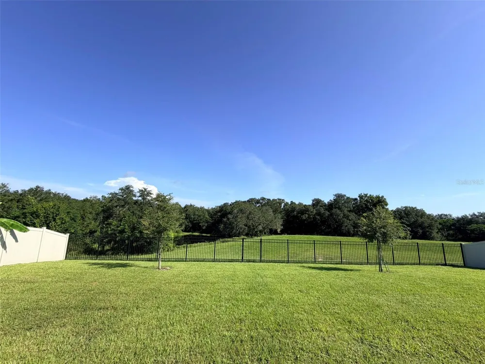 5277 GREENHEART AVENUE Mount Dora, FL 32757