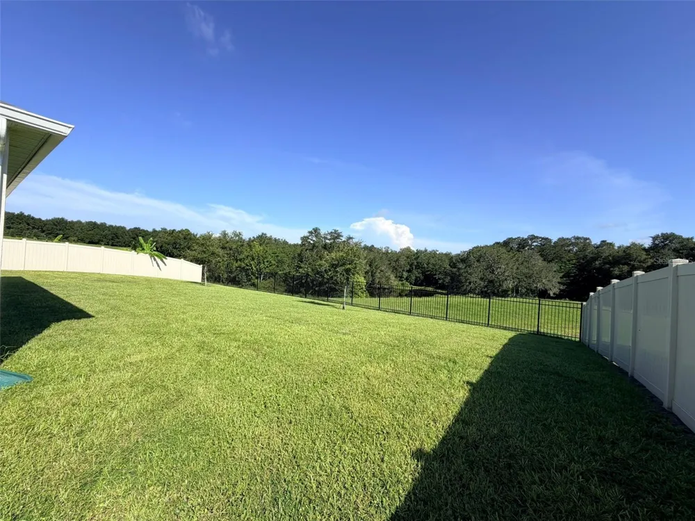 5277 GREENHEART AVENUE Mount Dora, FL 32757