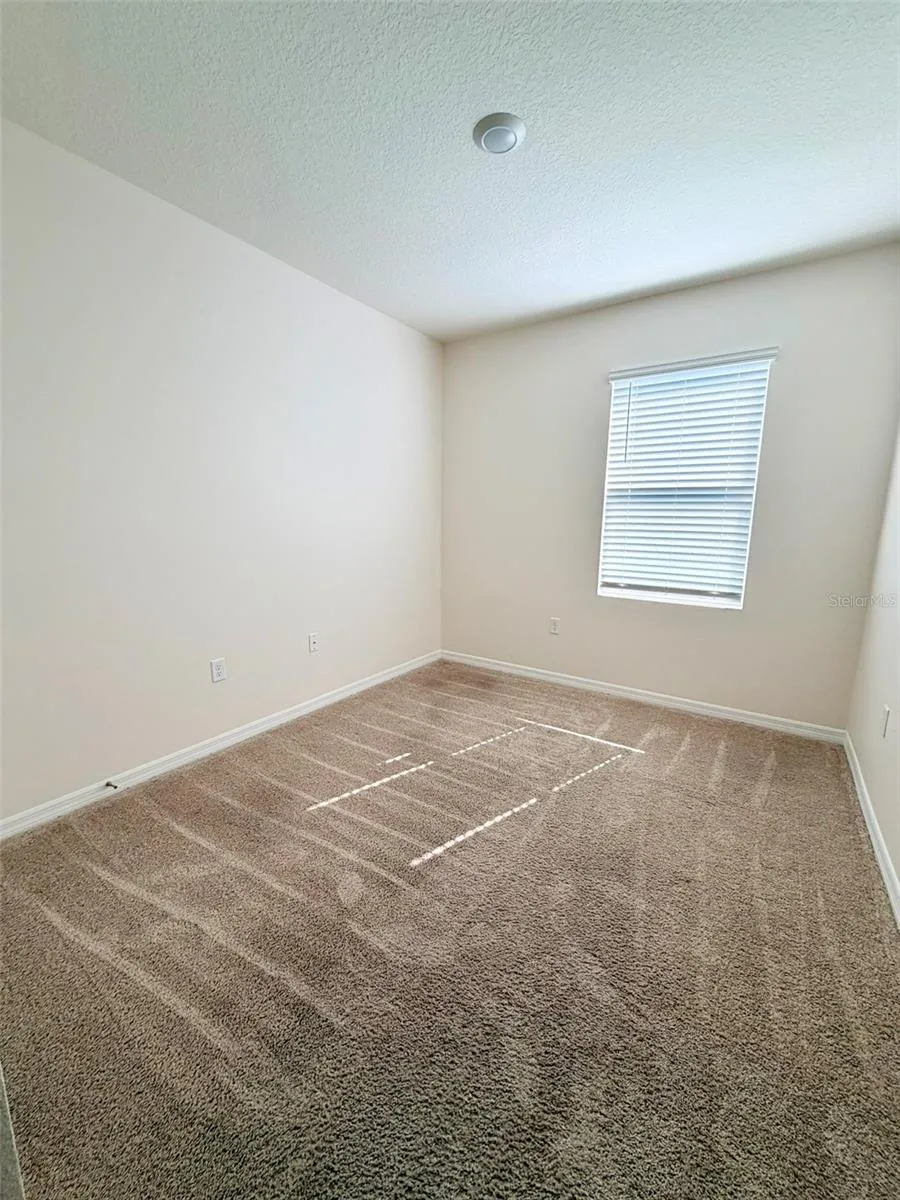 5277 GREENHEART AVENUE Mount Dora, FL 32757