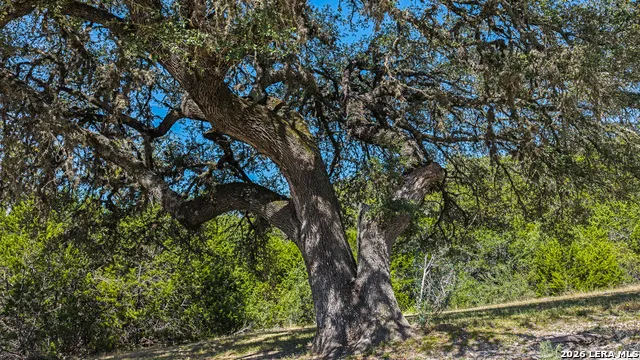 11482 Fm 337 Medina, TX 78055