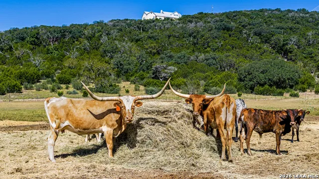 11482 Fm 337 Medina, TX 78055