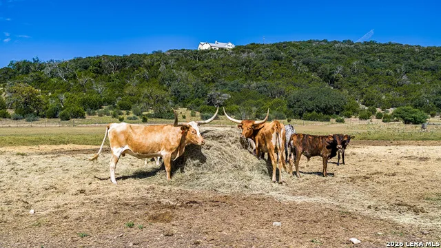 11482 Fm 337 Medina, TX 78055