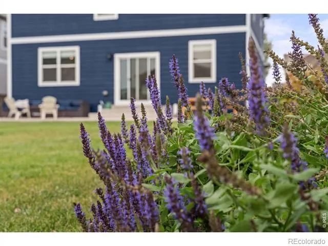 711 Lake Emerson Road Severance, CO 80550