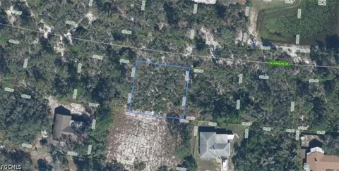 Algonquin Drive