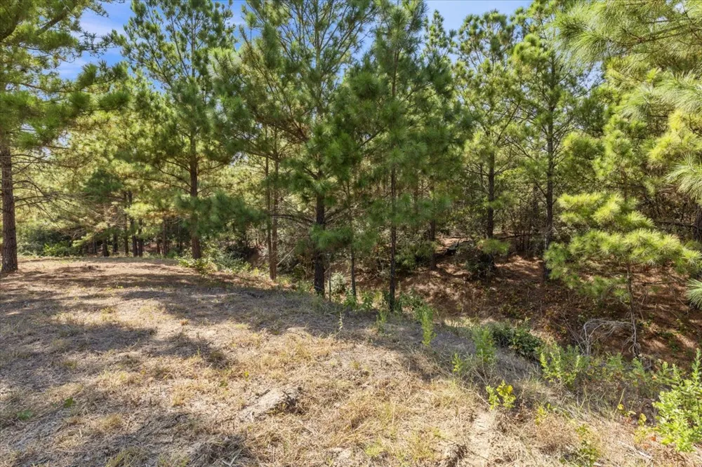 122 Hereford Lane Bastrop, TX 78602