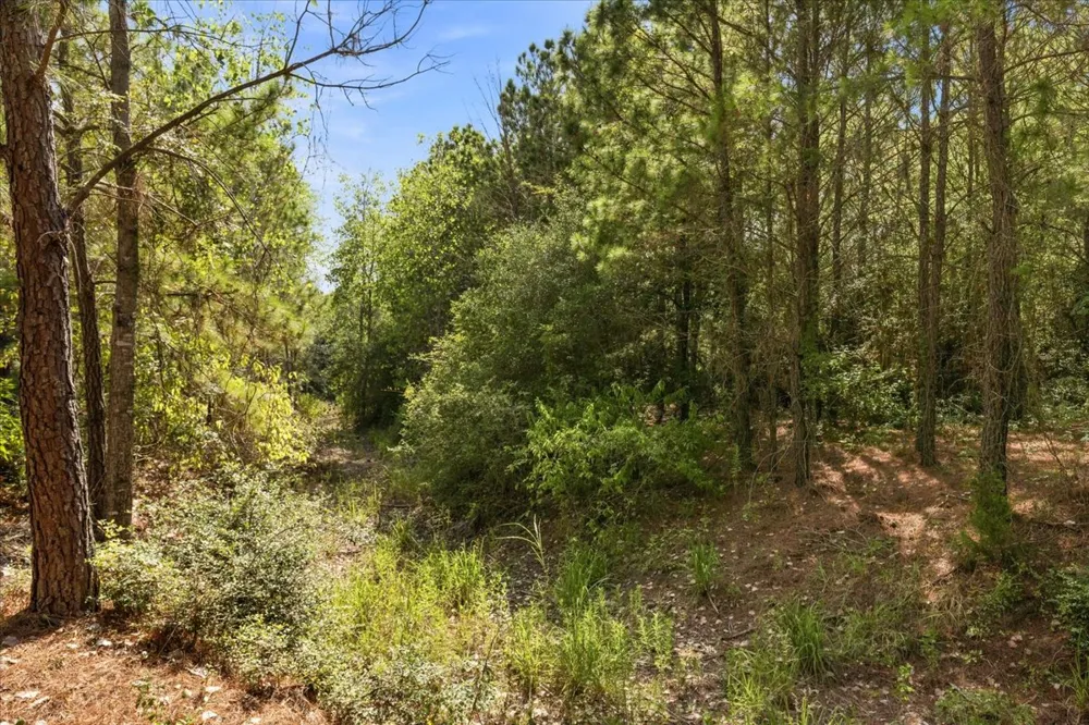 122 Hereford Lane Bastrop, TX 78602