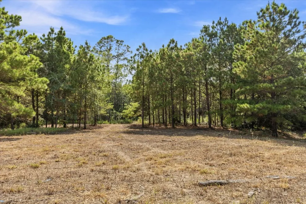 122 Hereford Lane Bastrop, TX 78602