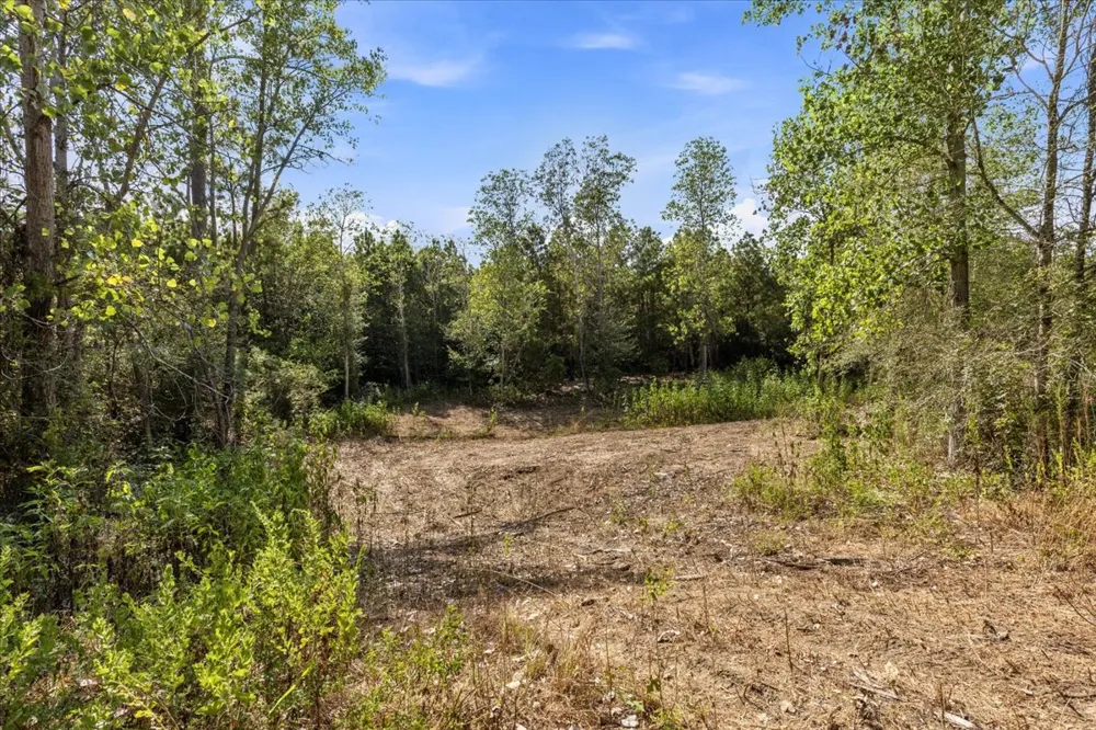 122 Hereford Lane Bastrop, TX 78602