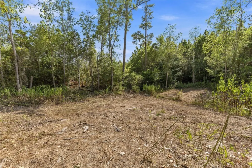 122 Hereford Lane Bastrop, TX 78602