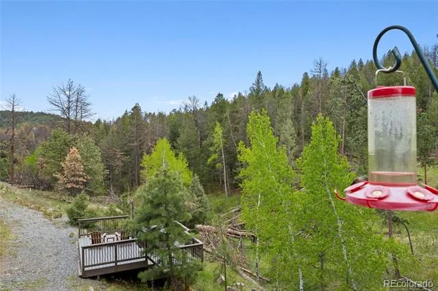 504 Broken Arrow Road Evergreen, CO 80439