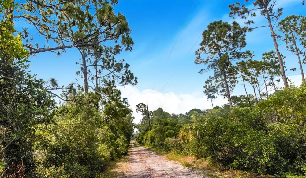 12510 LAKE HATCHINEHA ROAD Haines City, FL 33844