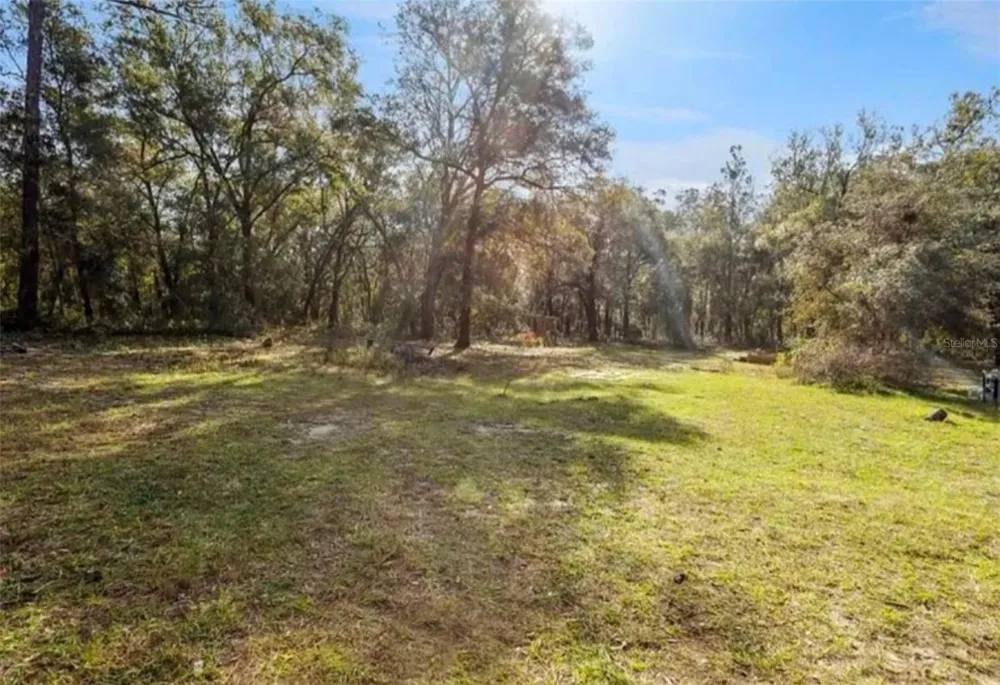 1208 DARCY ROAD Lady Lake, FL 32159