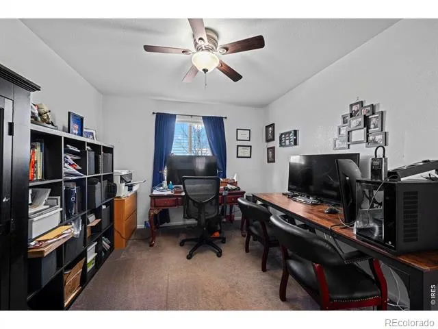 8255 El Jebel Loop Castle Rock, CO 80108
