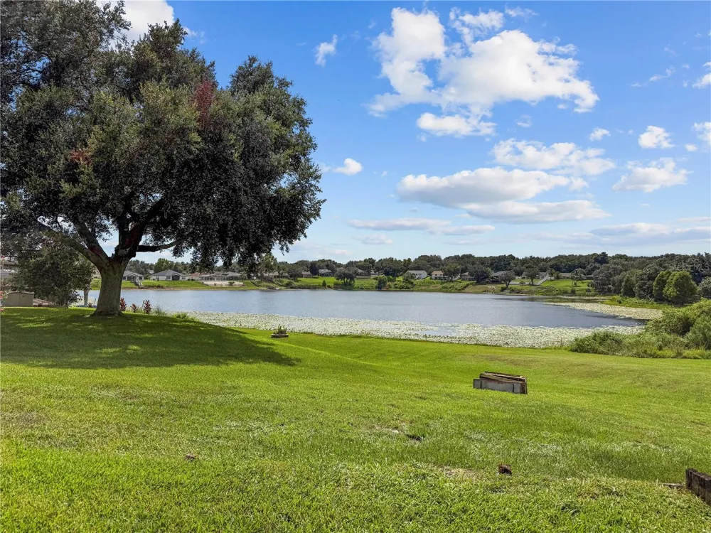 11546 NICE COURT Clermont, FL 34711