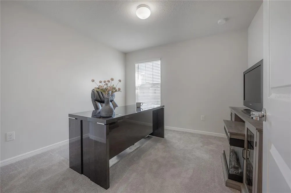 31428 AMBERVIEW BEND Wesley Chapel, FL 33545