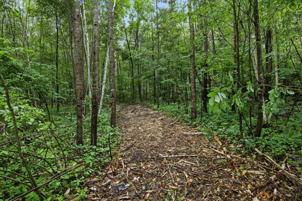 Lot 1 4th Street Clayton, WI 54004