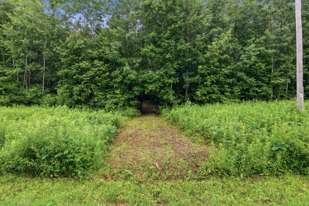Lot 1 4th Street Clayton, WI 54004