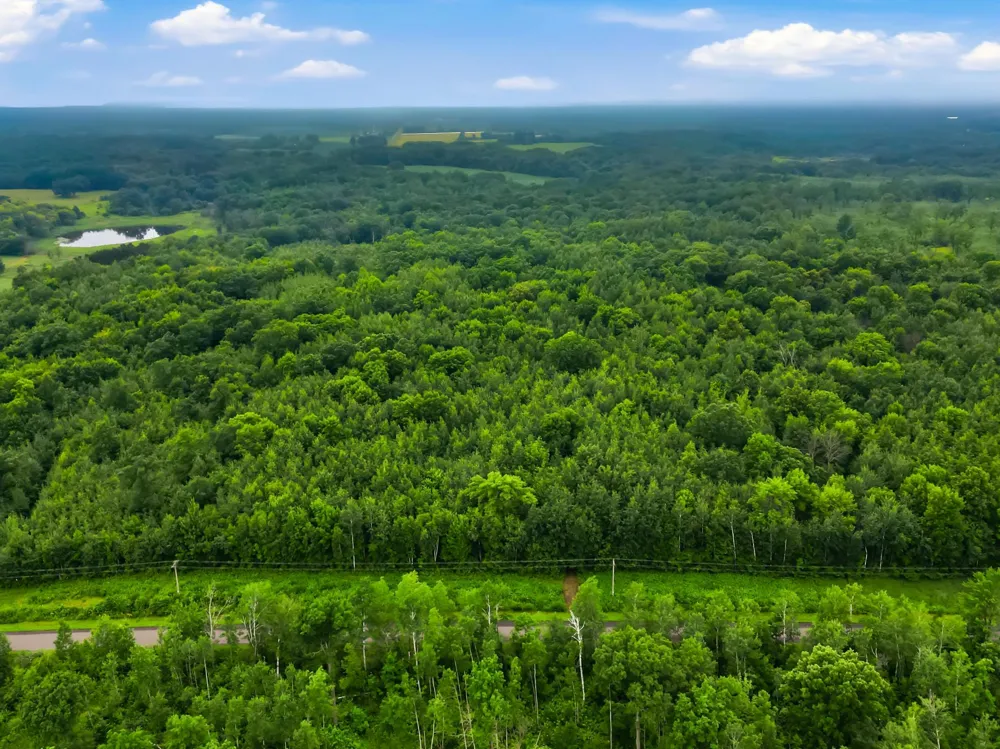 Lot 1 4th Street Clayton, WI 54004