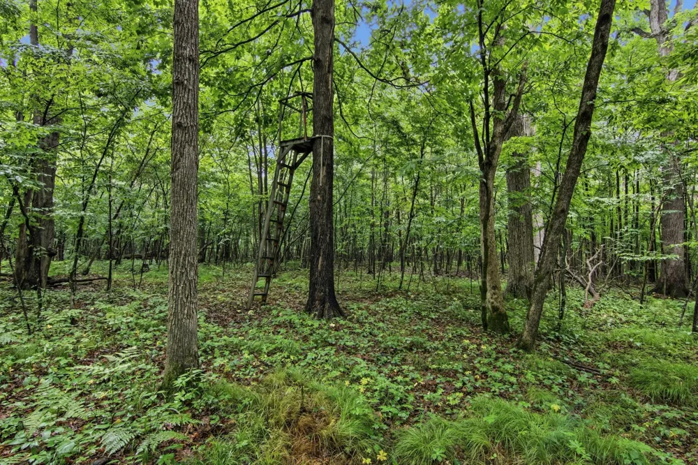Lot 1 4th Street Clayton, WI 54004