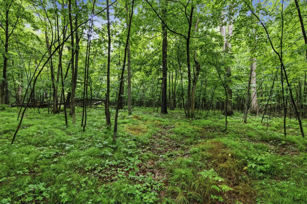 Lot 1 4th Street Clayton, WI 54004