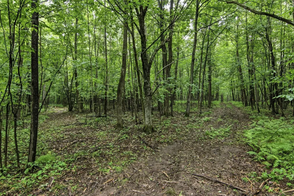 Lot 1 4th Street Clayton, WI 54004