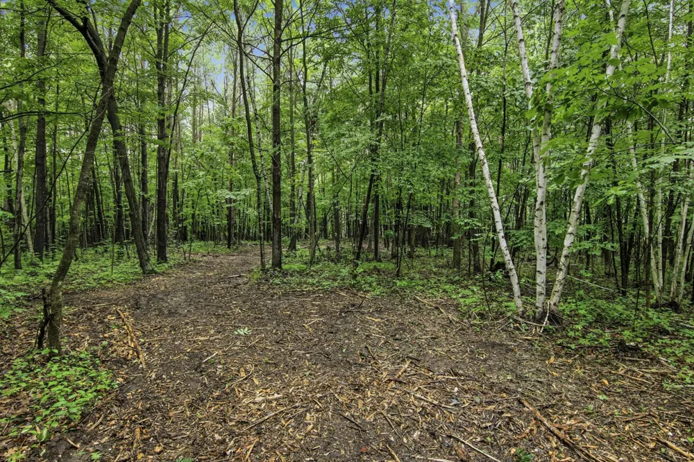 Lot 1 4th Street Clayton, WI 54004