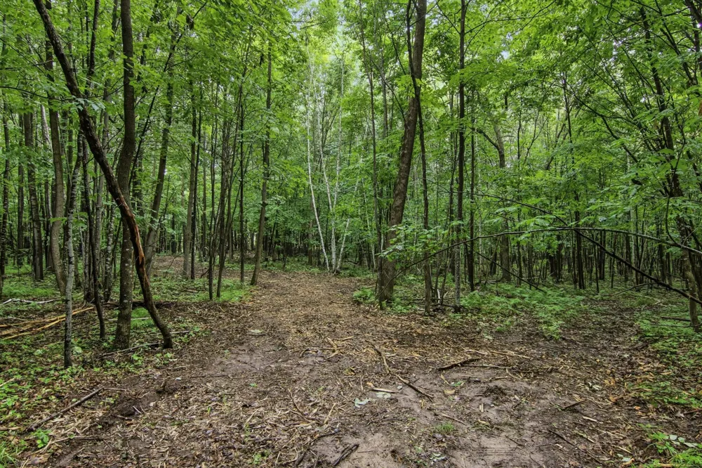 Lot 1 4th Street Clayton, WI 54004