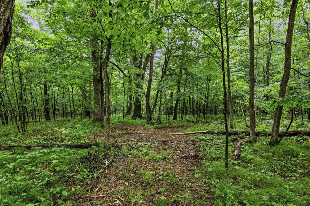 Lot 1 4th Street Clayton, WI 54004