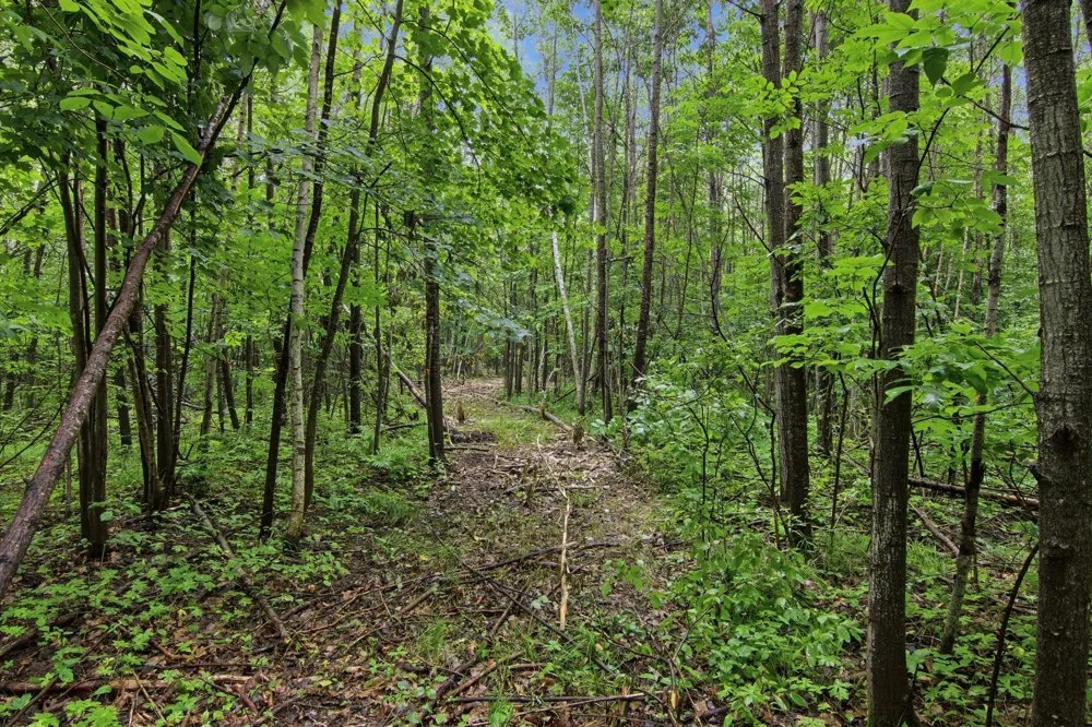 Lot 1 4th Street Clayton, WI 54004